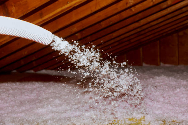 Best Attic Insulation Installation  in Pamplico, SC